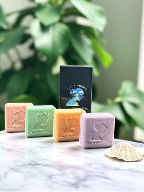Island Fruits & Floral Hand Soap Collection